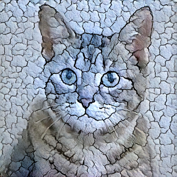 Cracked paint cat