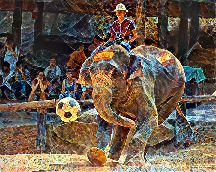 Elephants football in Thailand