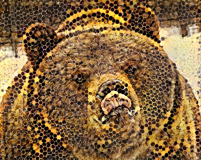 Bear - lover of honey