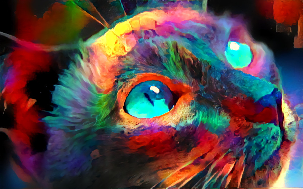 Color cat