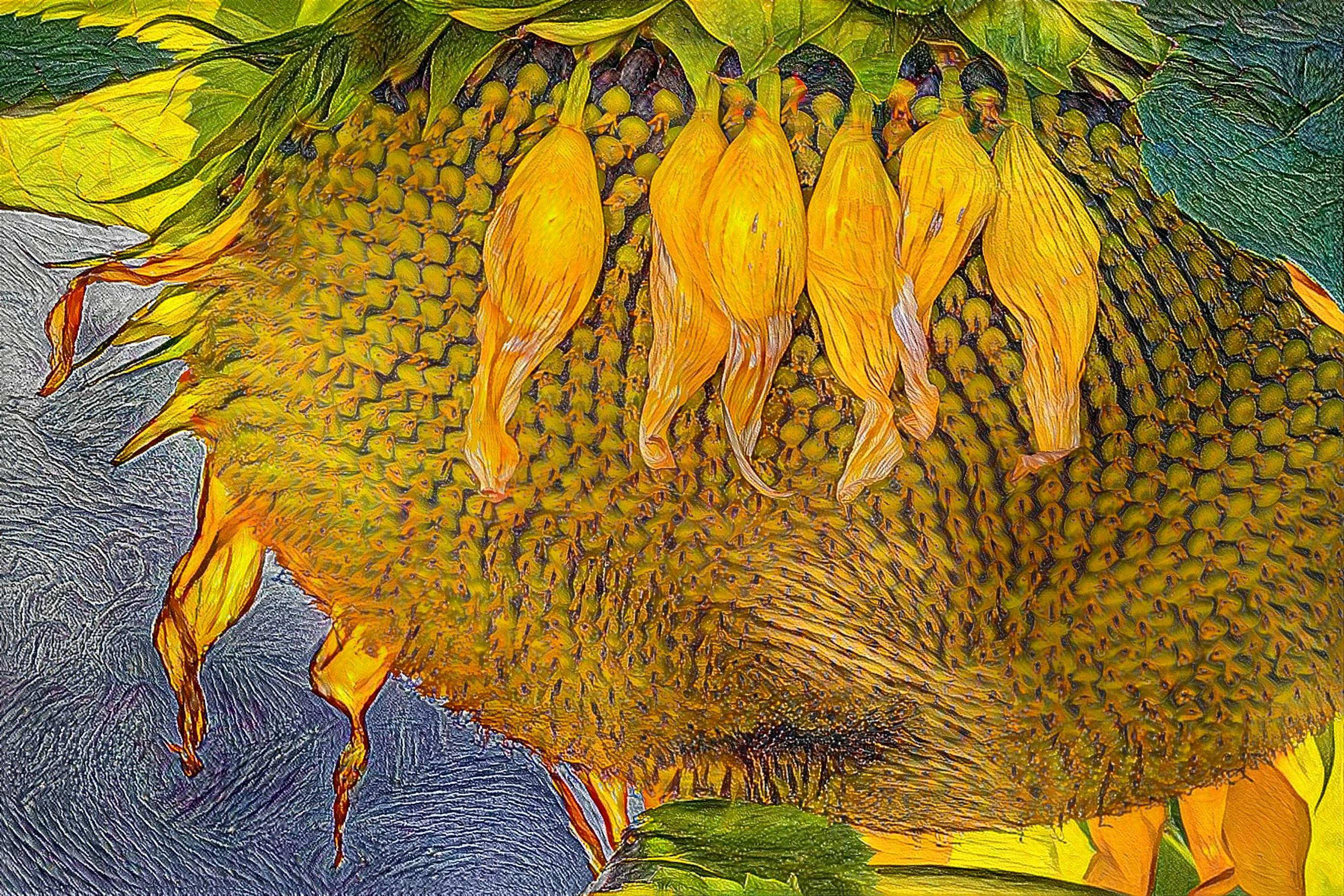 Autumn Sunflower Version 2