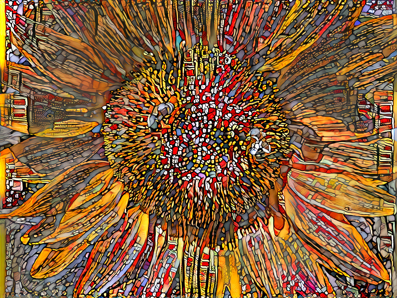 intricately patterned sunflower