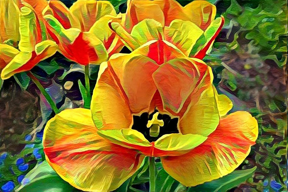 tulip 3 quilt 3