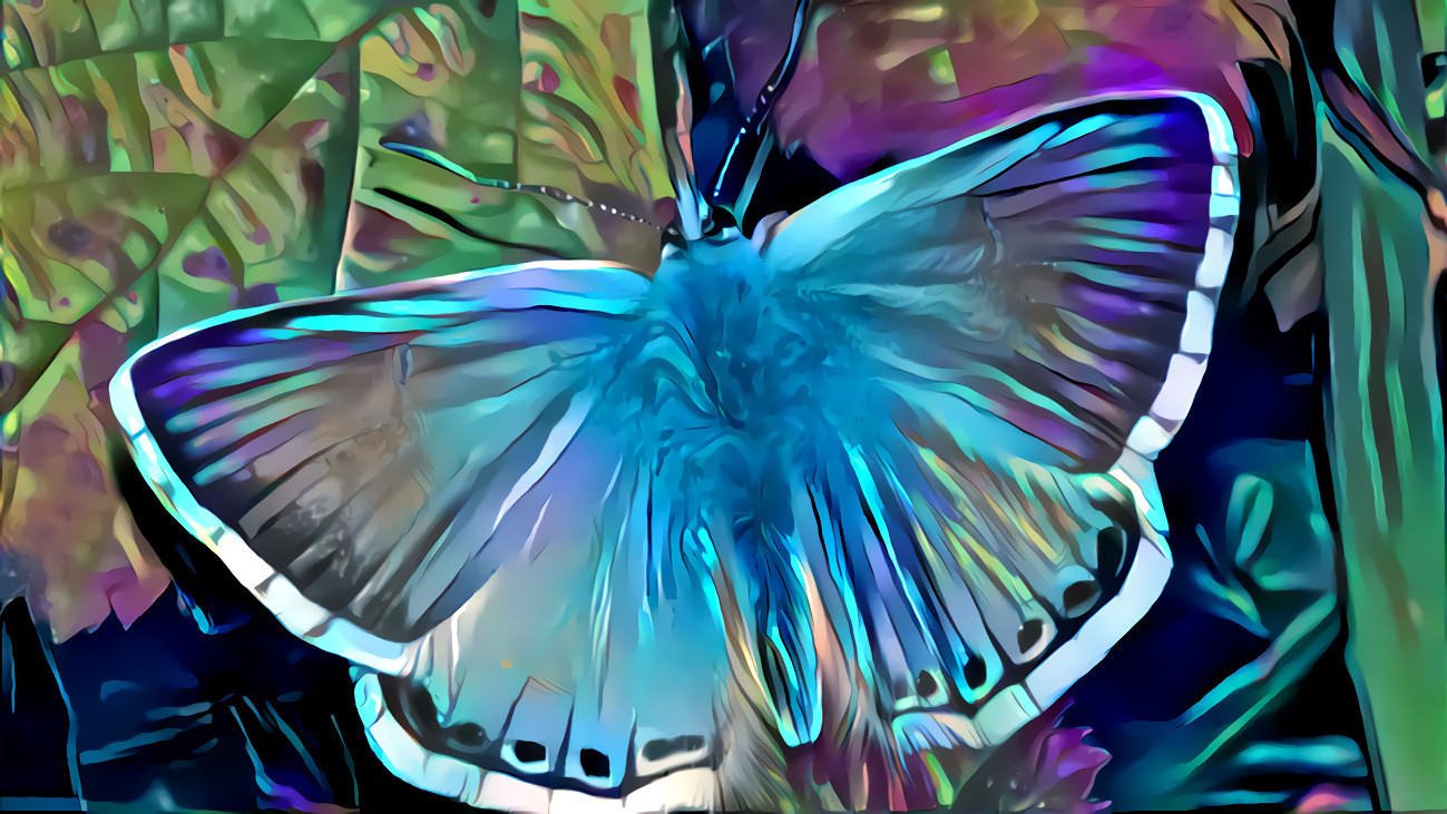 Blue Moth - Pixabay image