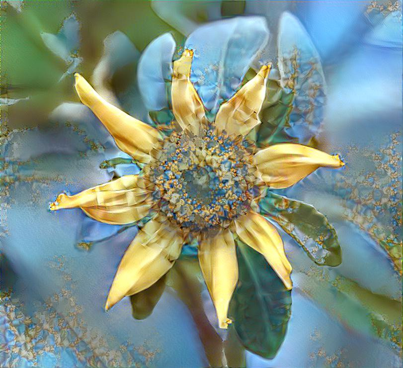 Wild Flower - Blues
