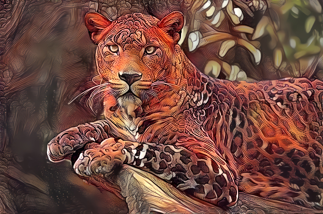 Coppery Leopard