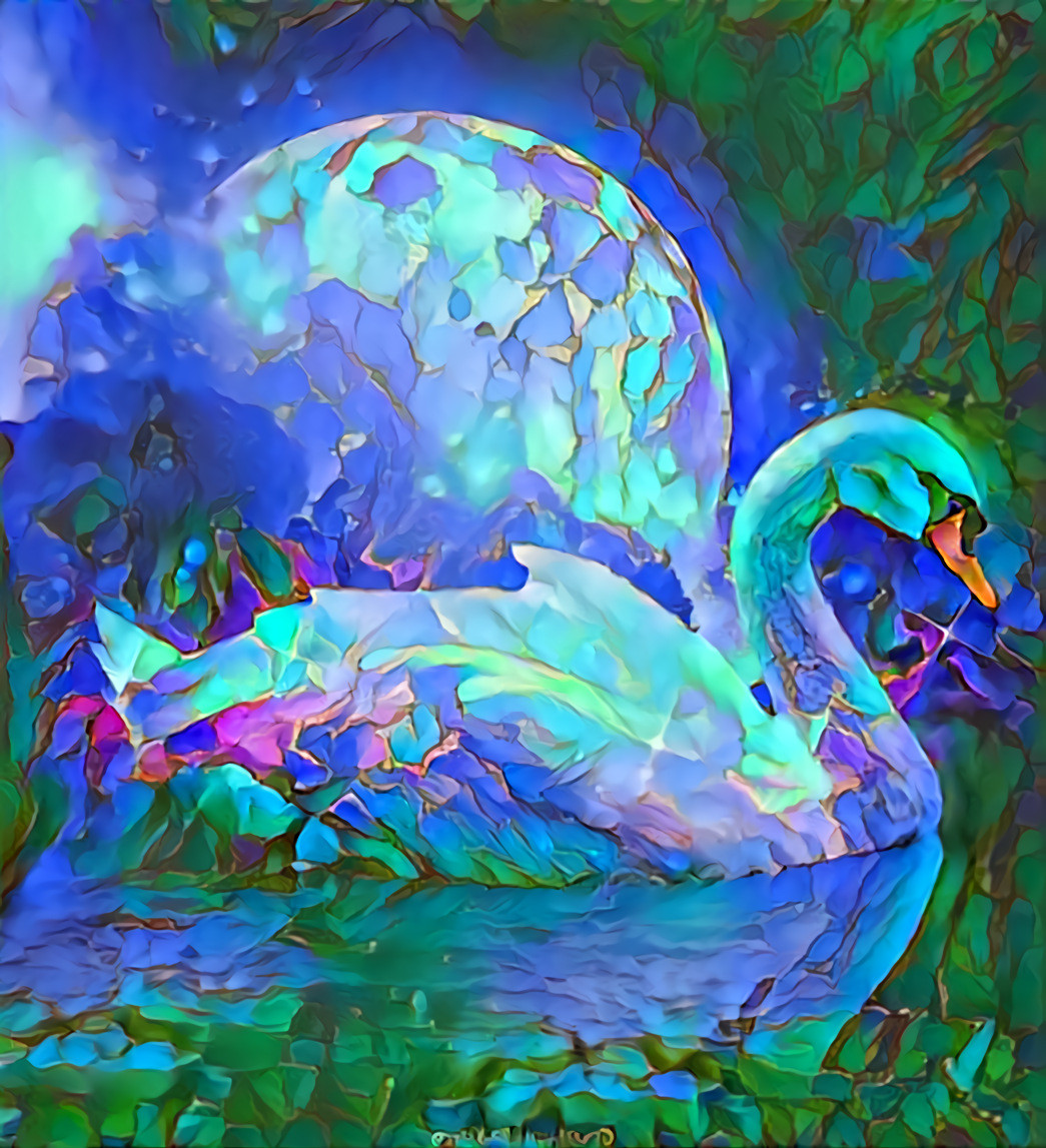 Swan in the Moonlight 