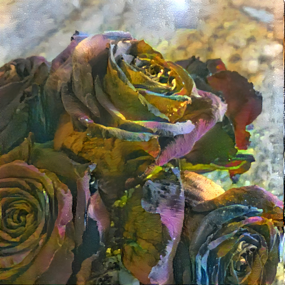 Faded Rose-03-B