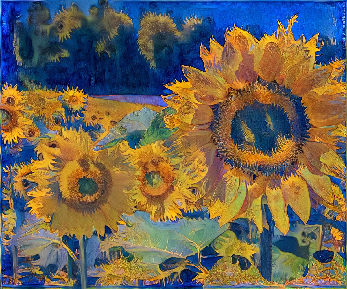 Sunflowers Sunbathing