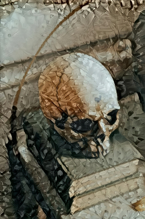 Skull on books