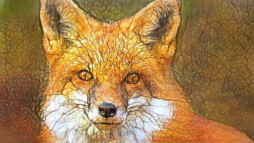 Deep Dream: Red Fox (Ver.7)