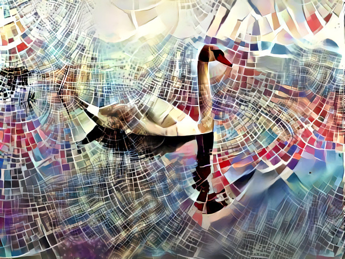 Single Swan 