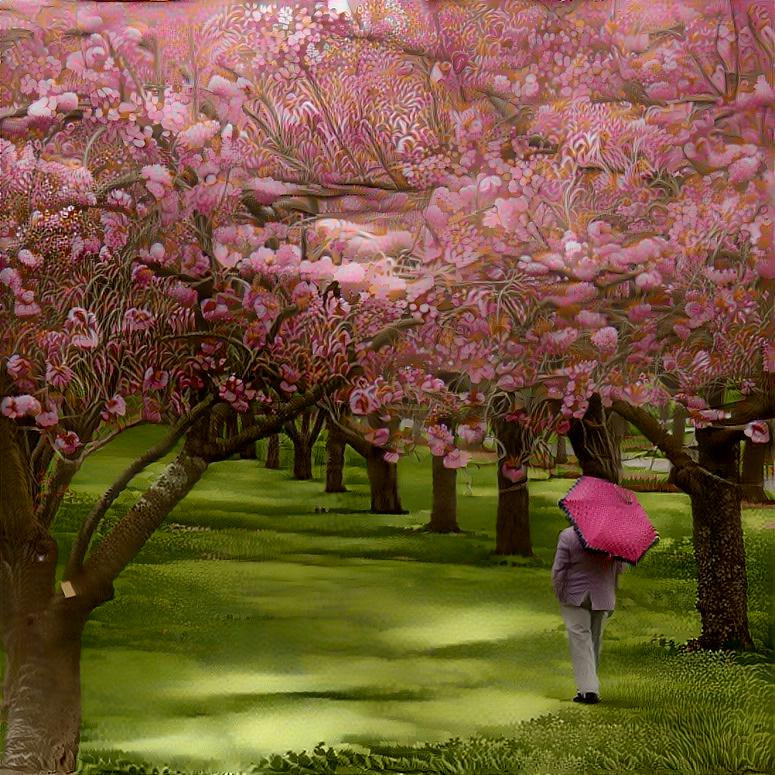 Pink Umbrella under the Cherry Trees 