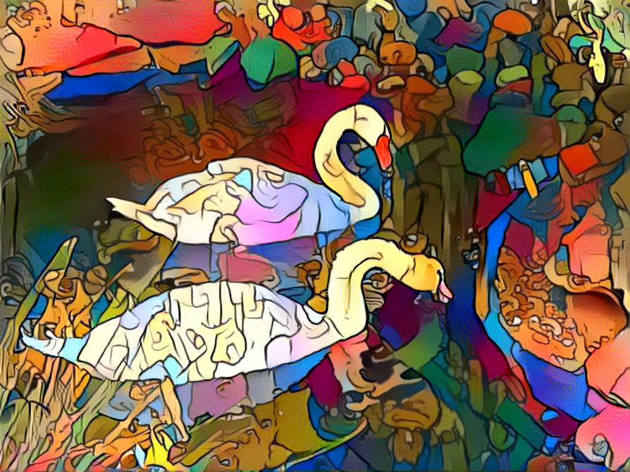 Swan Lake Colors