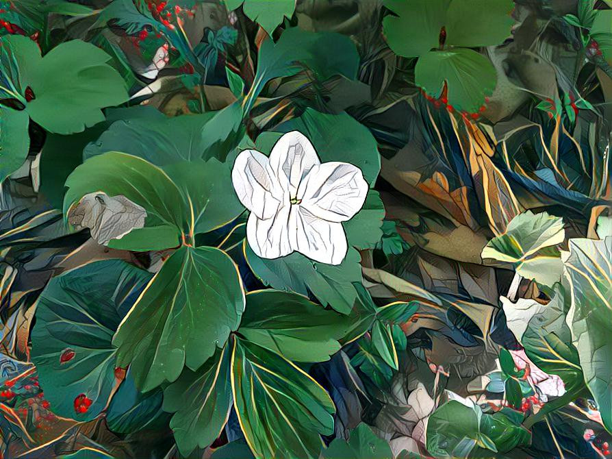 A flower in a paper forest