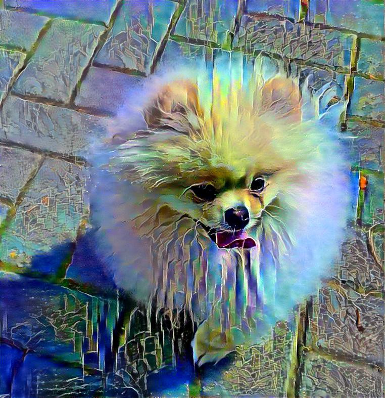 Colorful doggy