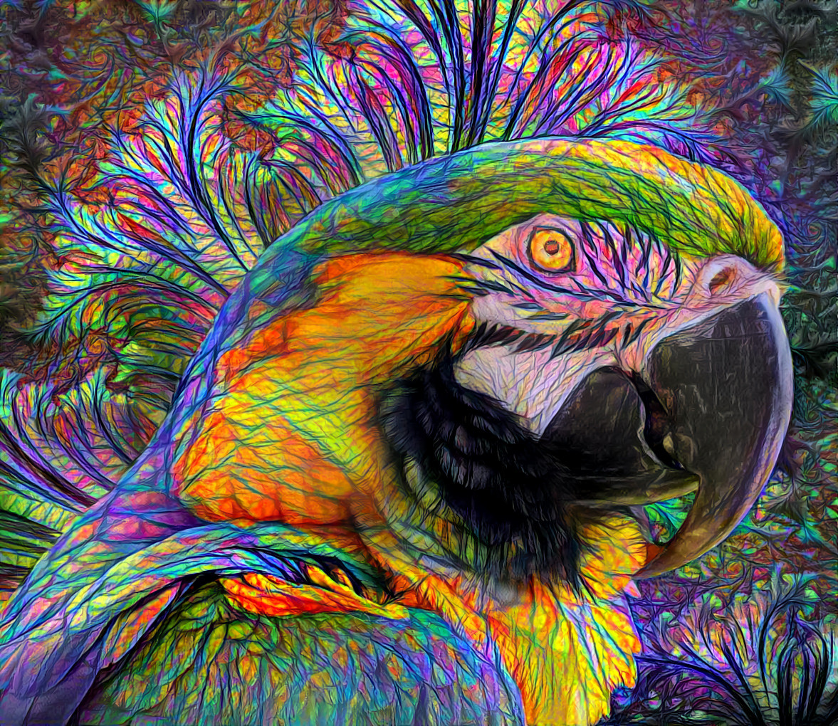 Macaw Parrot In Color [1.2MP]