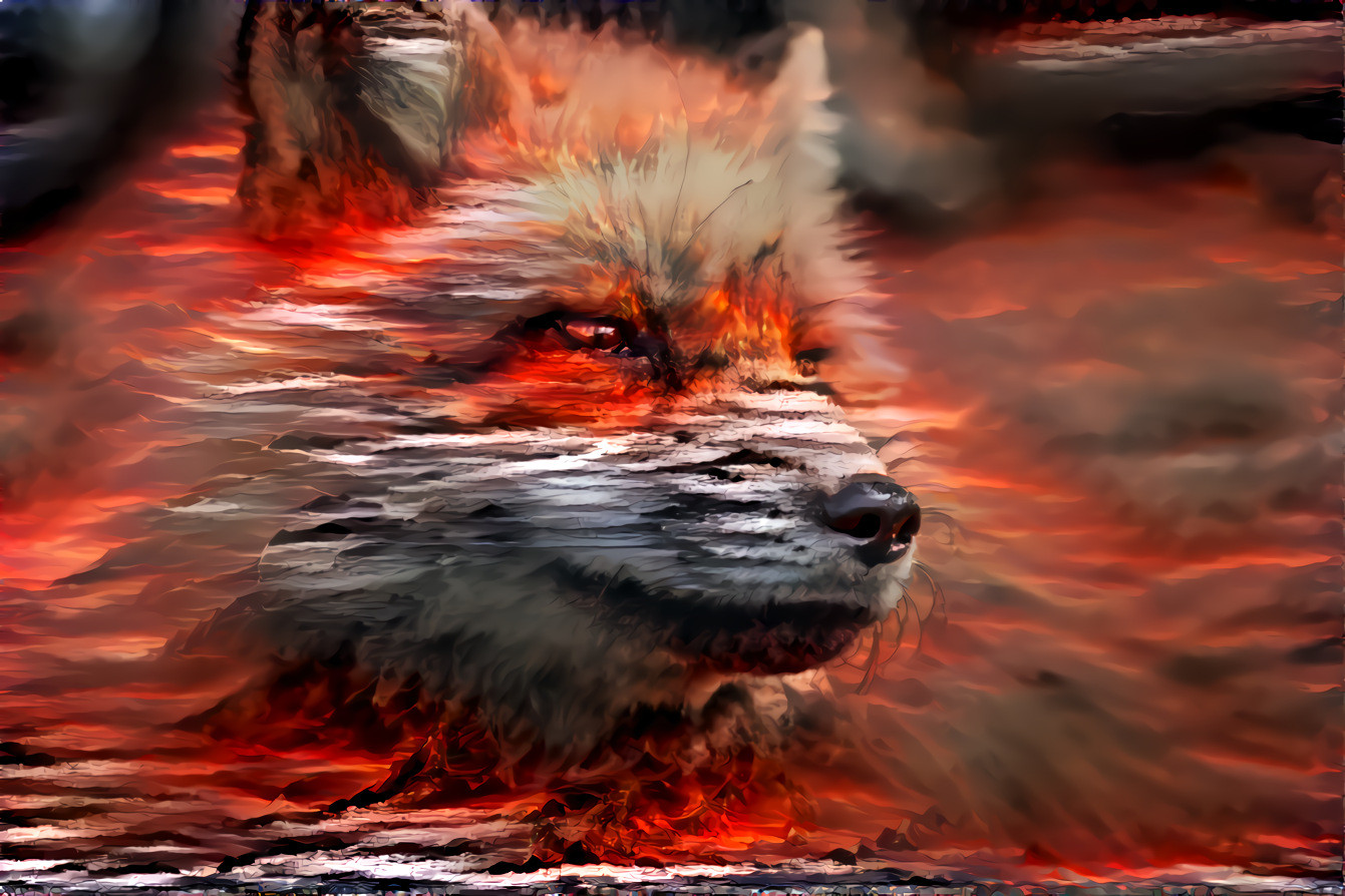 Volcano Fox