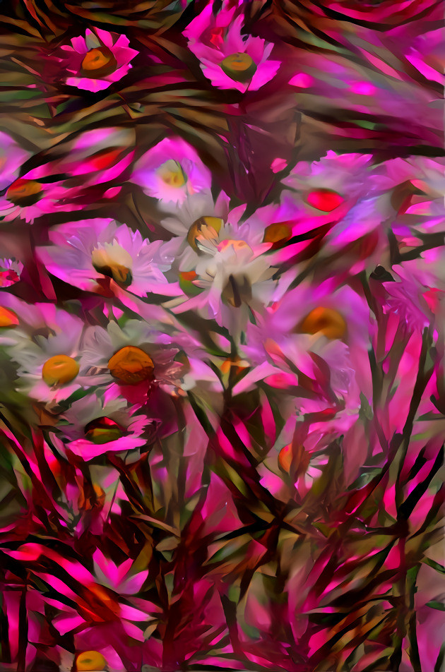 pink daisy overload