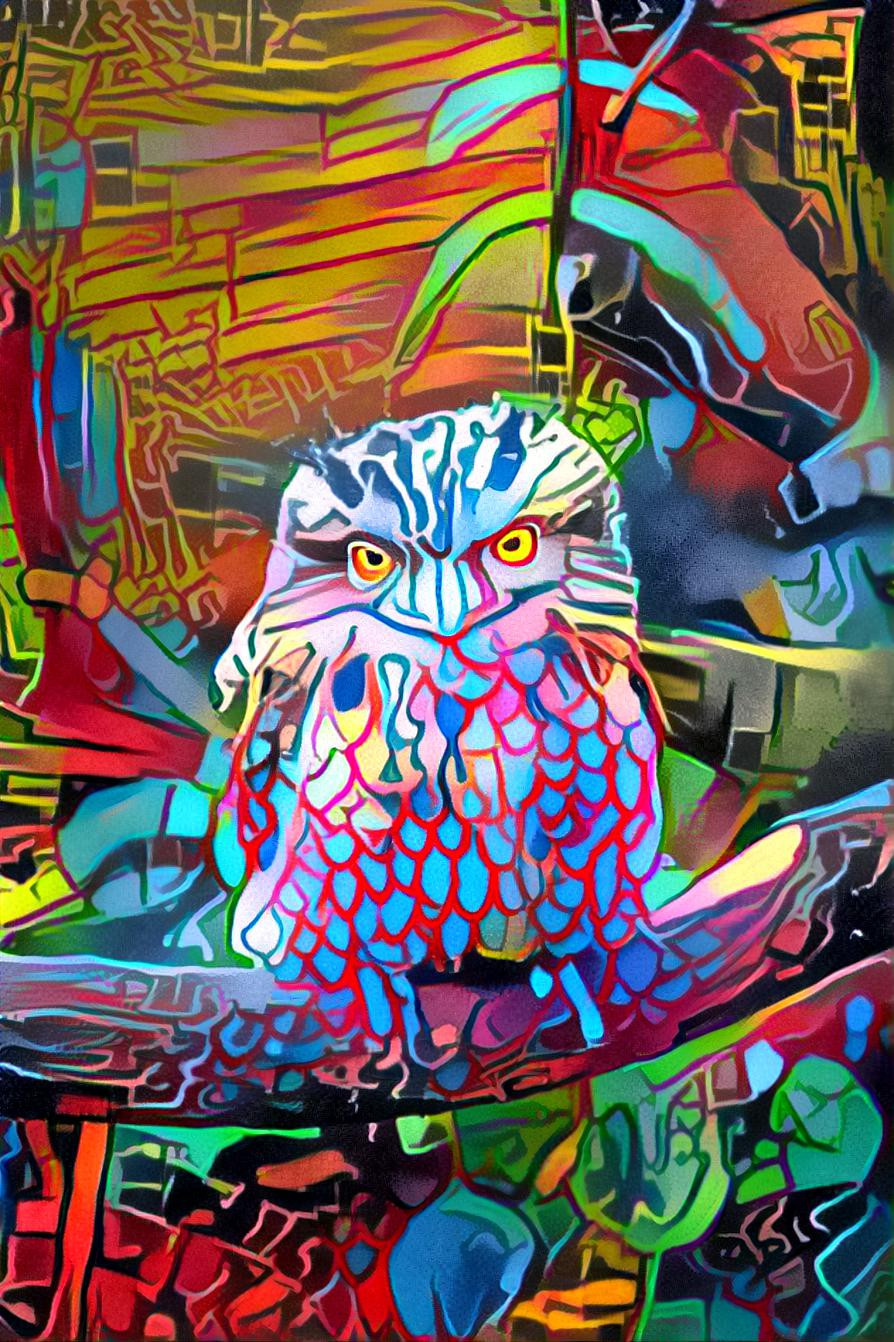 Popart owl