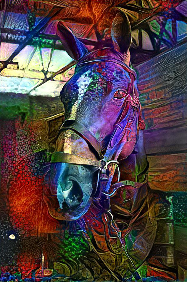 Color Horse