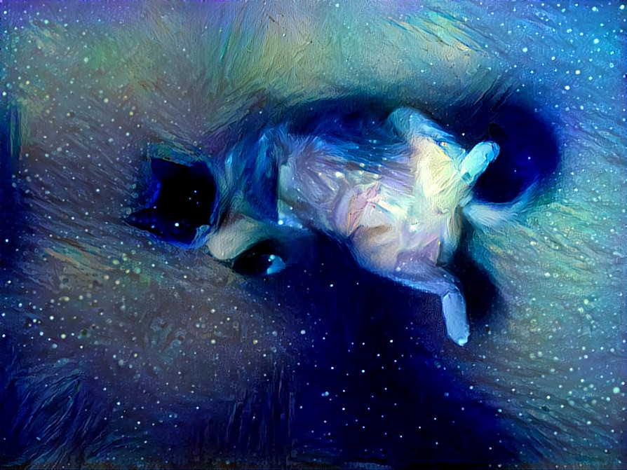 Felis Nebula 