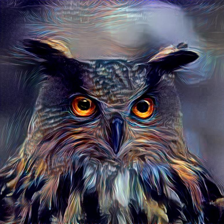 Wonderful Owl 