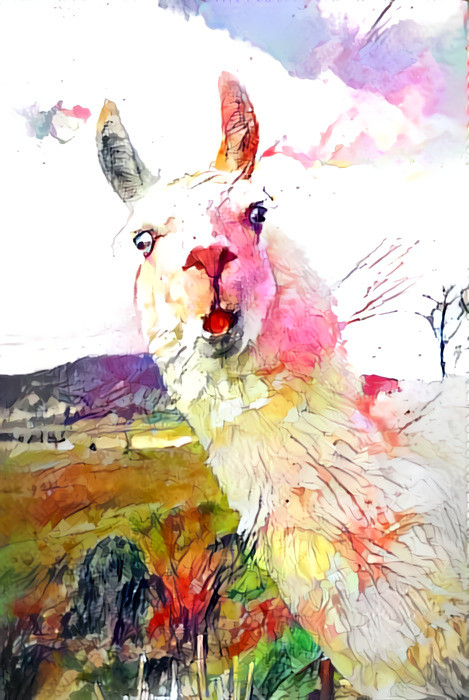 surprised llama photograph - painting