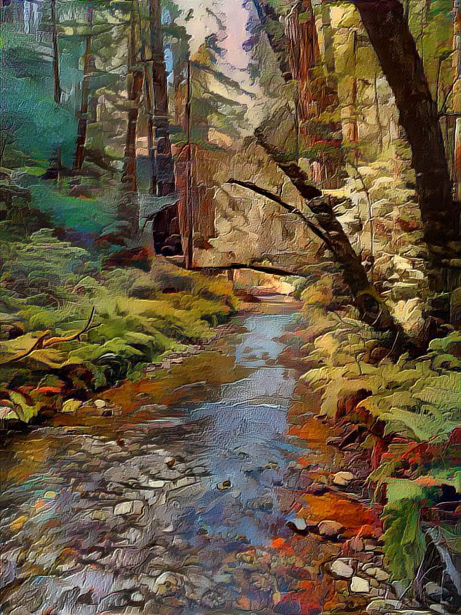 Redwood Creek, Muir Woods