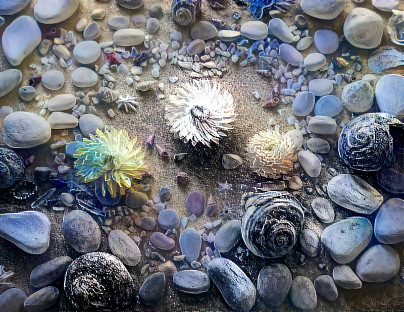 'Heart in sand.' This arrangement lay beneath 'If your heart has peace.' Style: Susan Seddon Boulet and David Galchutt. Base image: ©Alison Lee Cousland: Licensed under CC Attribution-ShareAlike 4.0 International.