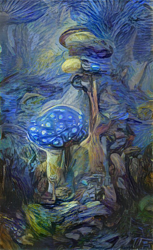 Starry Starry Shrooms