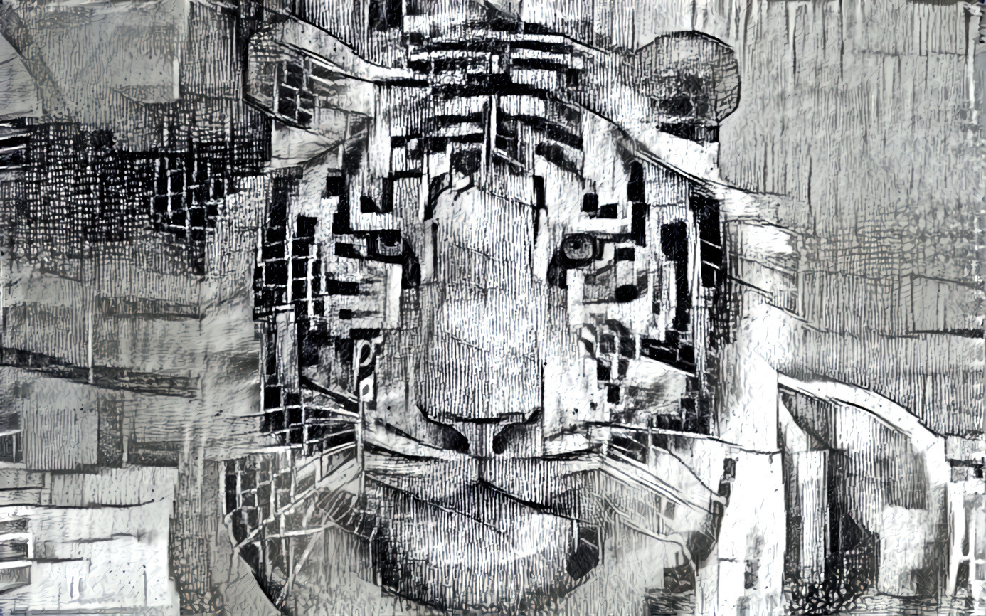 Black and white tiger