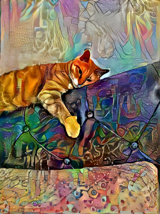 Cat on a colorful dragon