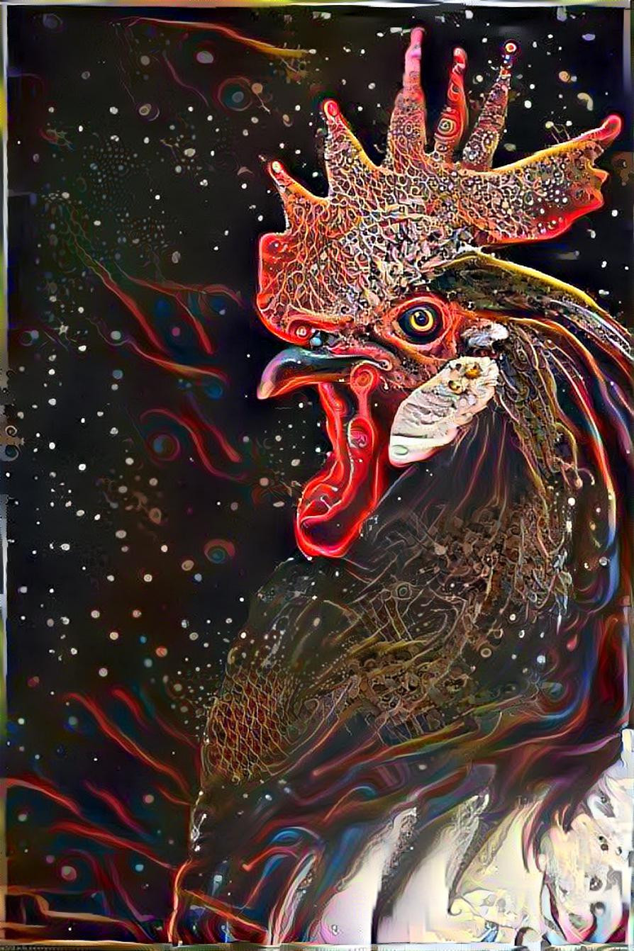 Space Rooster