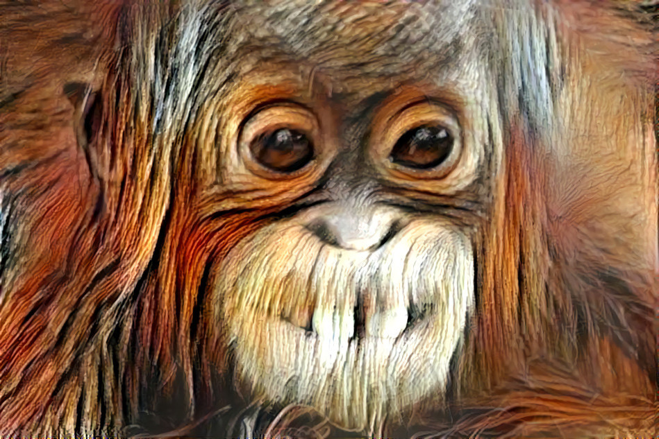 Primate_wood