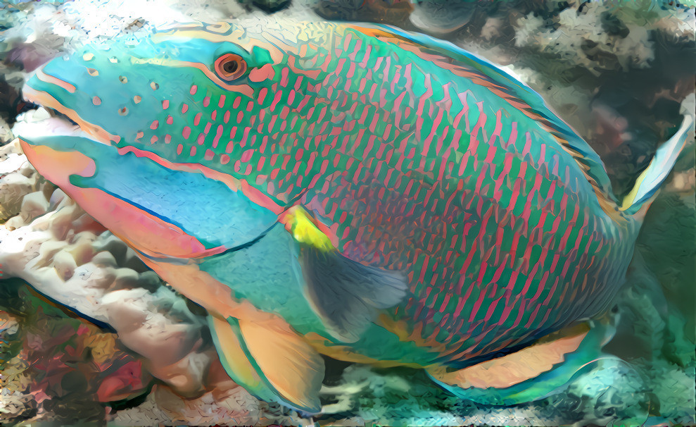 Parrot fish X Parrot fish = Parrot fish squared