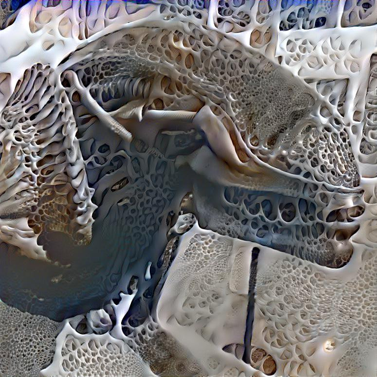 Xenomorph Skeleton