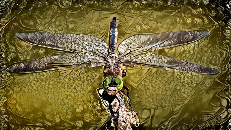 The Golden Dragonfly