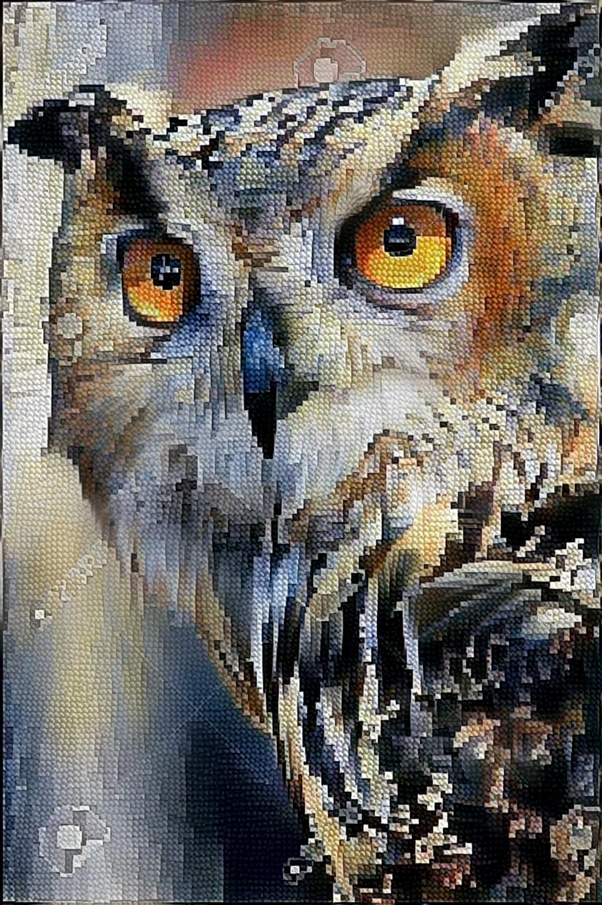 Owl 