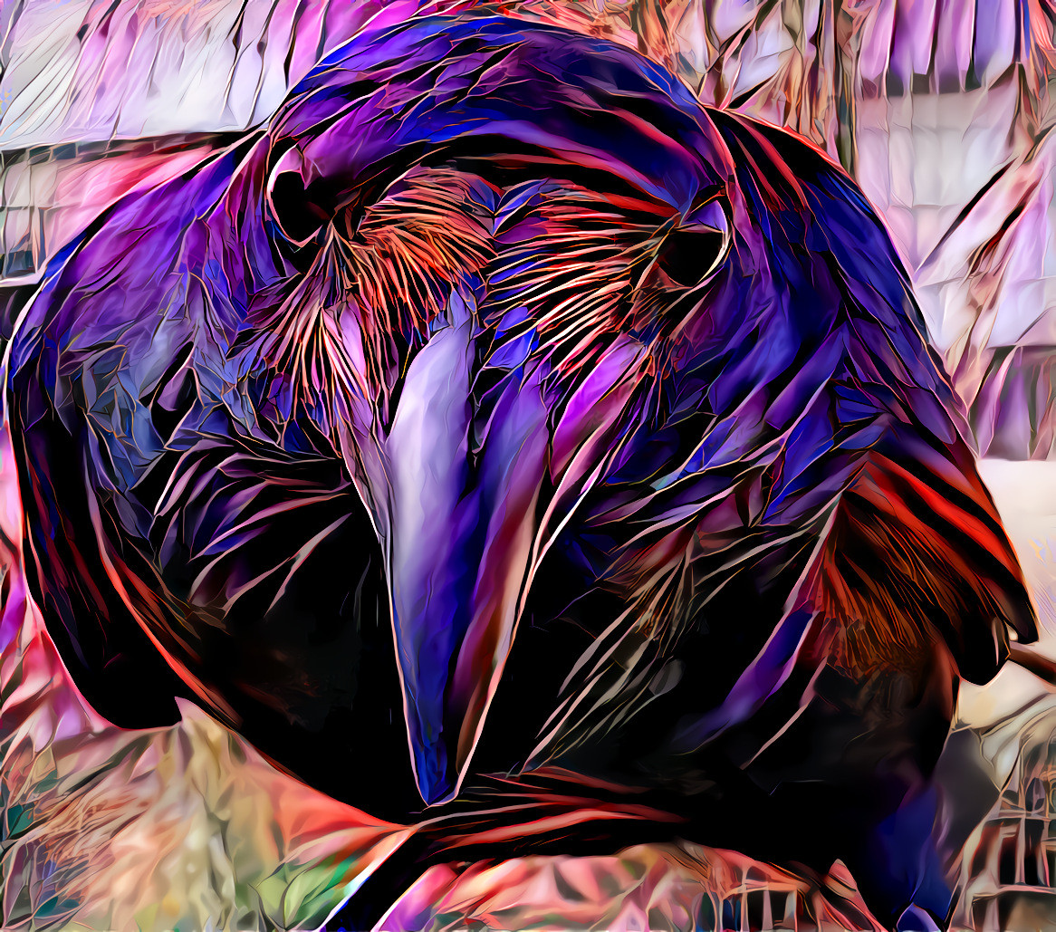 Something to Crow About
