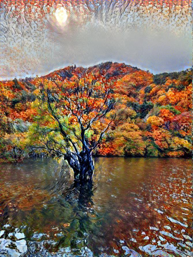 A tree in a lake.