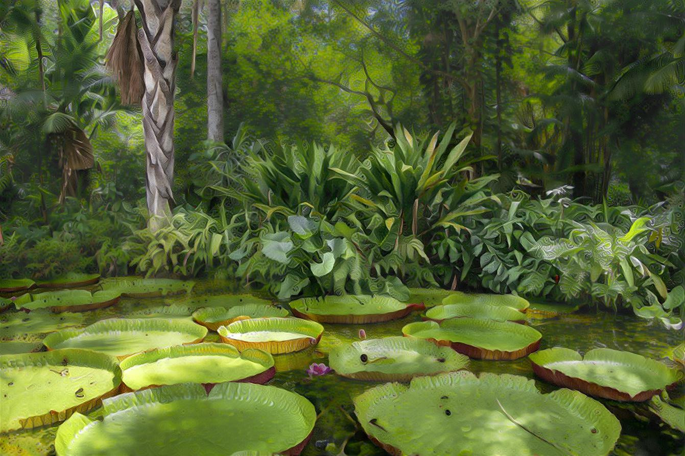 Lily pads in a forest