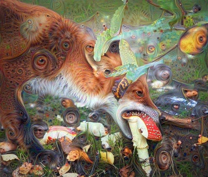 fox eating mushroom
