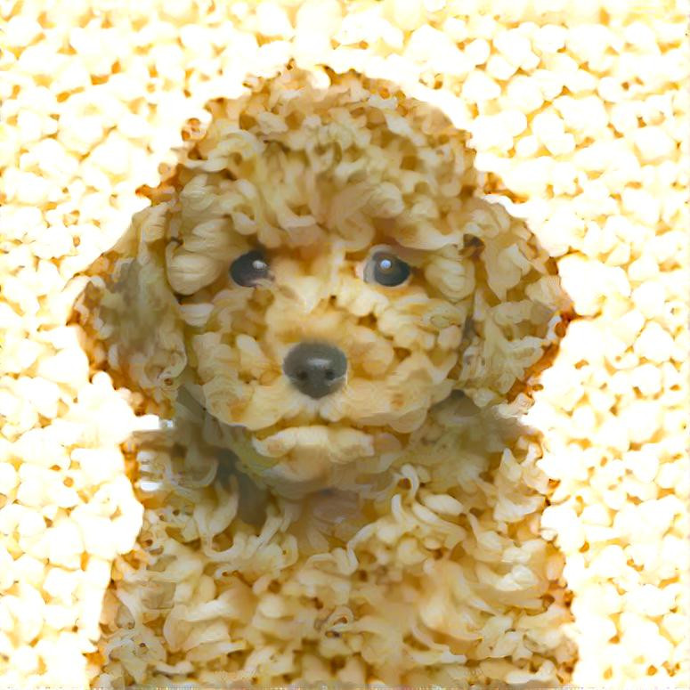 Popcorn Pup