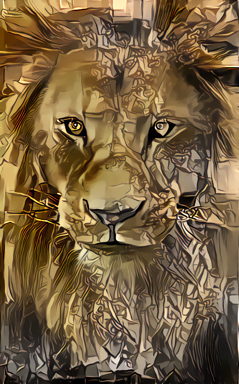 Lion #2