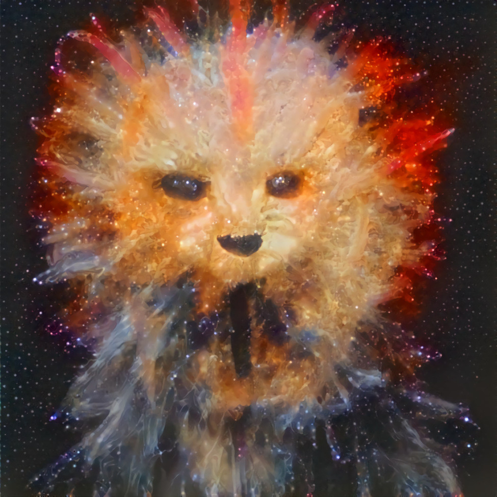 Cat Nebula