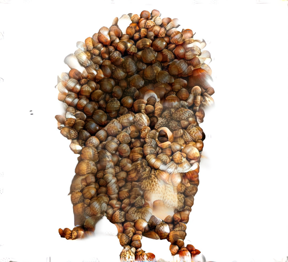 A Squirrel Made of Acorns, 2.0 - DWP Remix