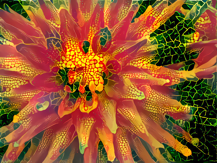 "Flower Explosion" - by Unreal from own photo.