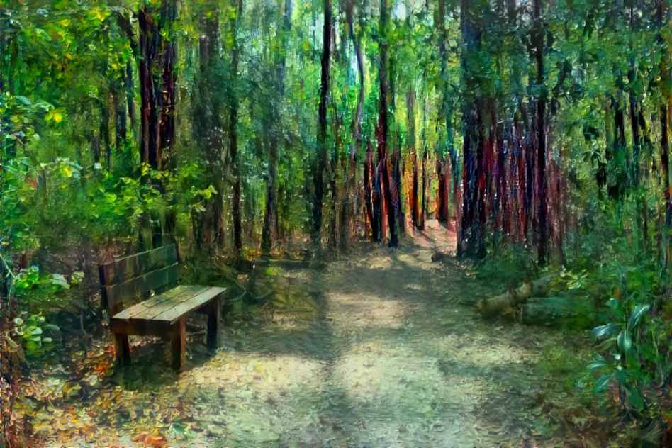 A Bench in the Woods