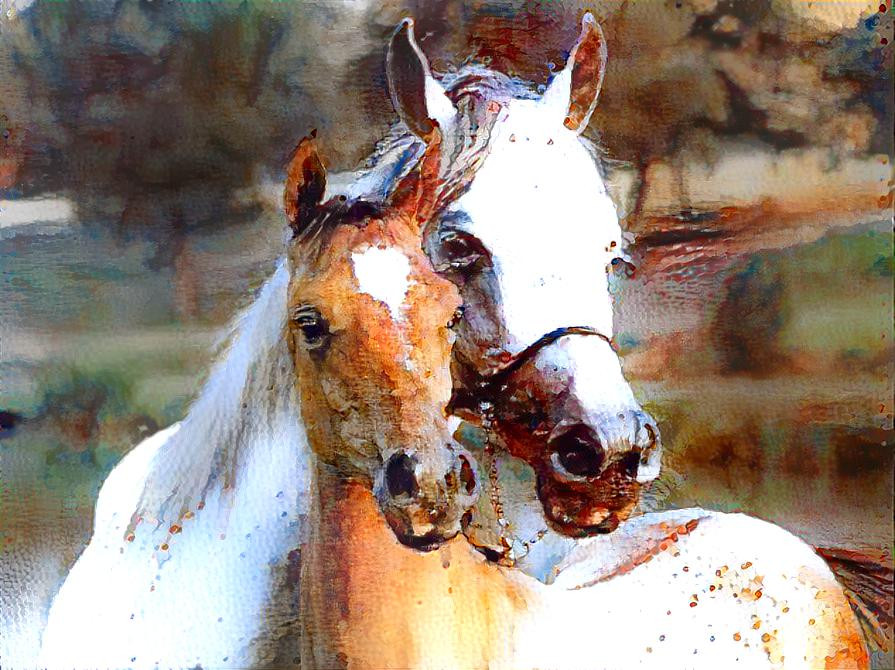 The beauty of horse love